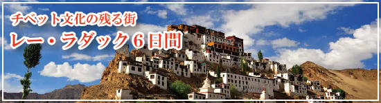 チベット文化の残る街 レー・ラダック５日間