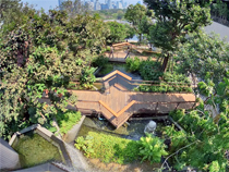 ドゥシット・セントラル・パーク屋上庭園 イメージ4