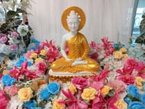 王太后服喪中のソンクラーン イメージ4