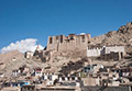 チベット文化の残る街 レー・ラダック５日間